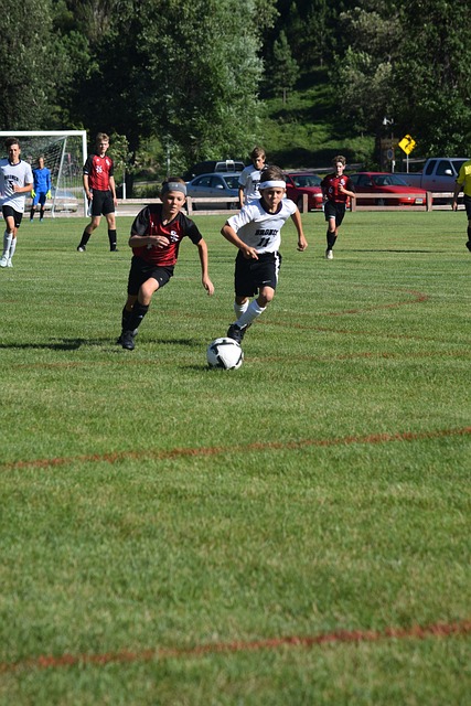 視的原因 視的原因