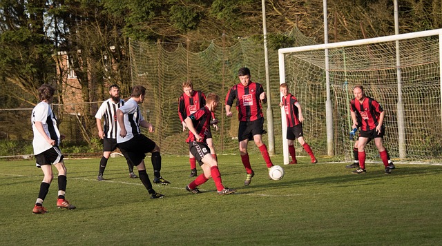 仅提升了他 仅提升了他