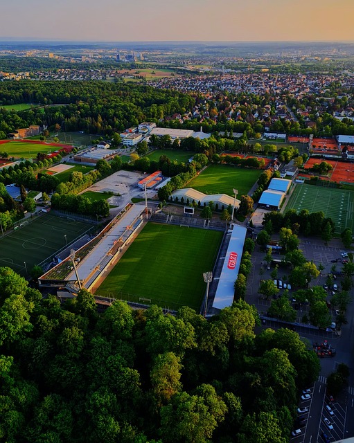 智慧的决策 智慧的决策