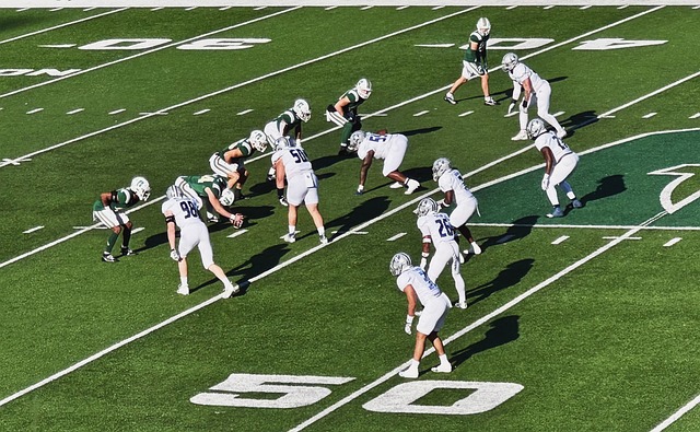 促进了经验 促进了经验