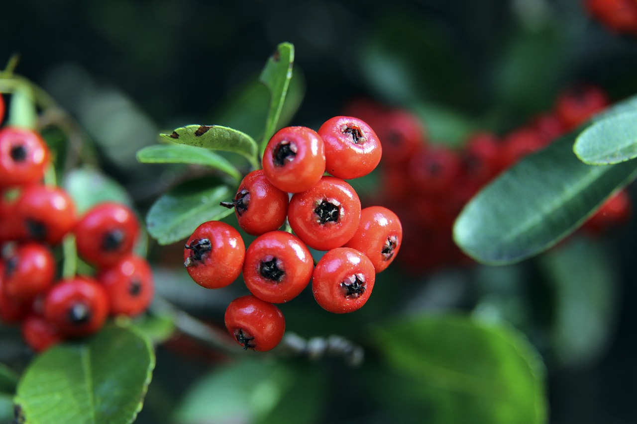 张晶并没有 张晶并没有
