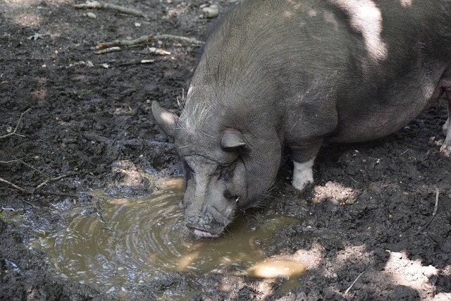 舆论反应与 舆论反应与